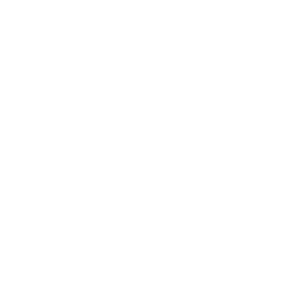 Cryosoft Corporation LTD